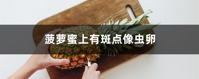 菠蘿蜜上有斑點像蟲卵怎么回事