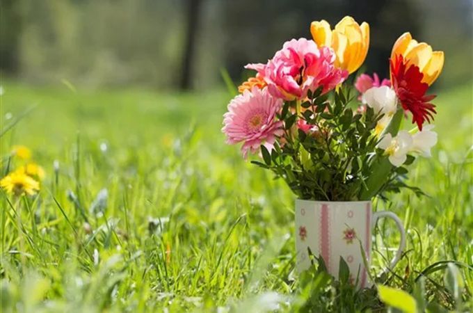 紀(jì)念日送什么鮮花